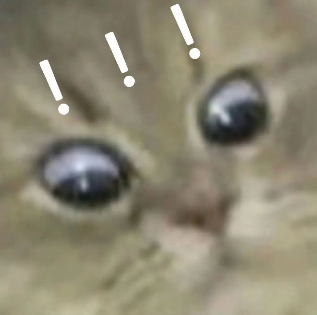 “已婚男人的浏览器记录能有多离谱？？”哈哈哈哈哈这是可以说的吗！