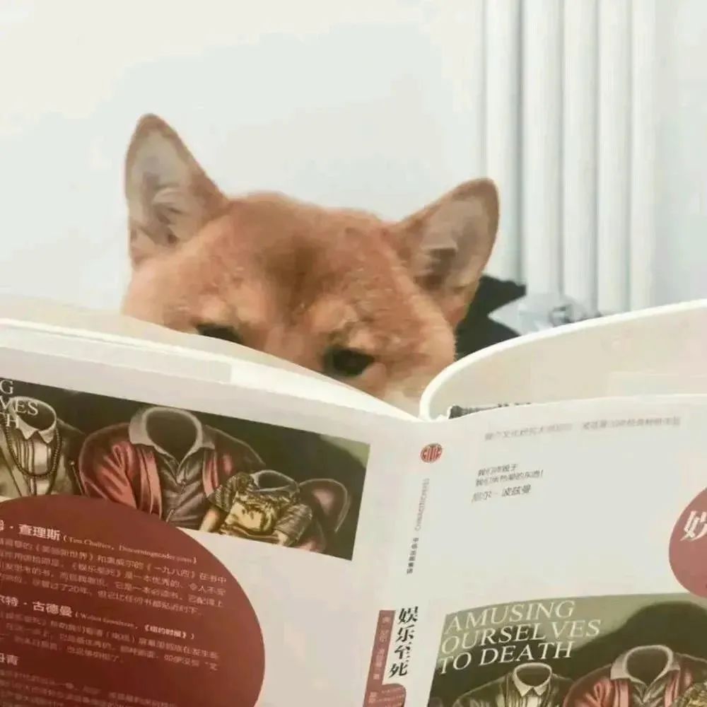 头像 | 可爱搞怪微信头像