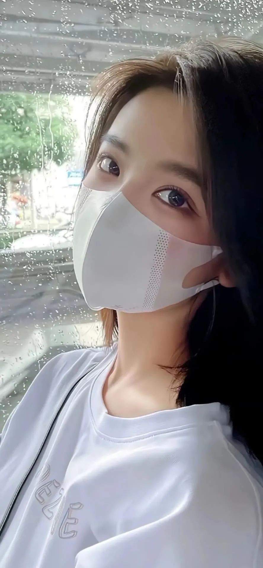 第13期 | 全屏敲好看壁纸 | 一草一木，自在欢喜，愿你我晨昏无恙，岁月不惊。
